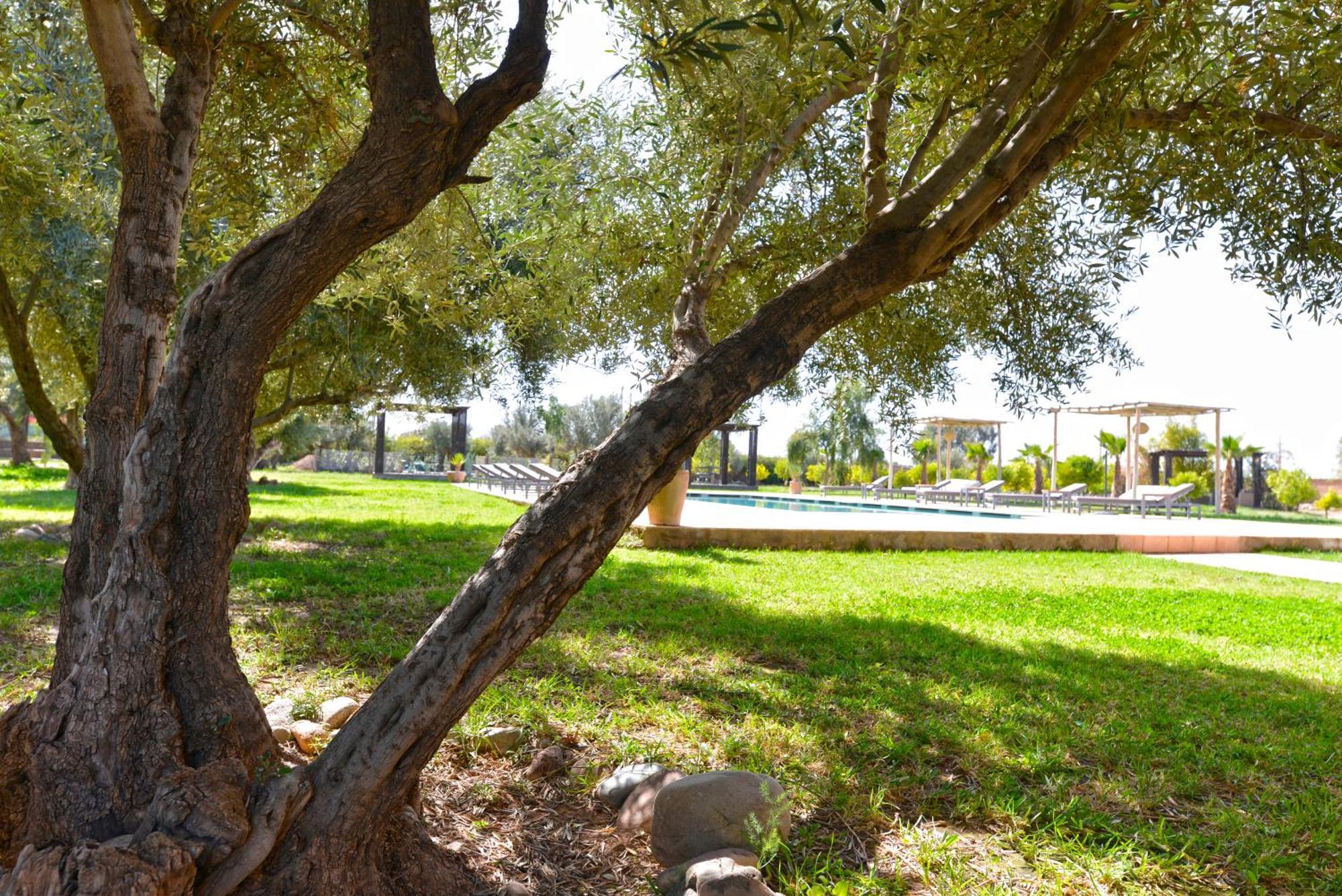 Sidi Abdallah Ghiat Villa Agora, Villa A La Campagne Proche Marrakech מראה חיצוני תמונה